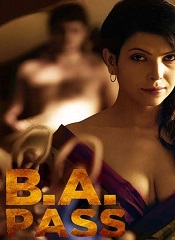 B.A. PASS (Hindi)