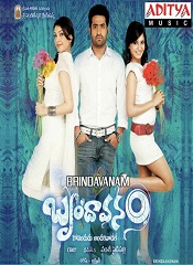 Brindavanam (Telugu)