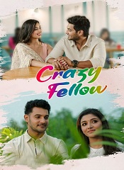 Crazy Fellow [Tamil + Telugu]